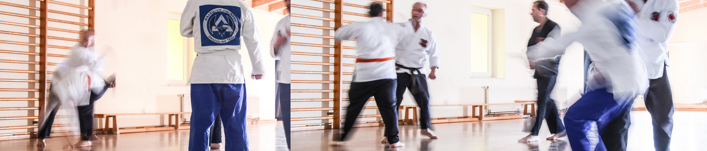 Shaolin Kempo beim TV Gronau Foto: Anne Brand Shaolin Kempo beim TV Gronau